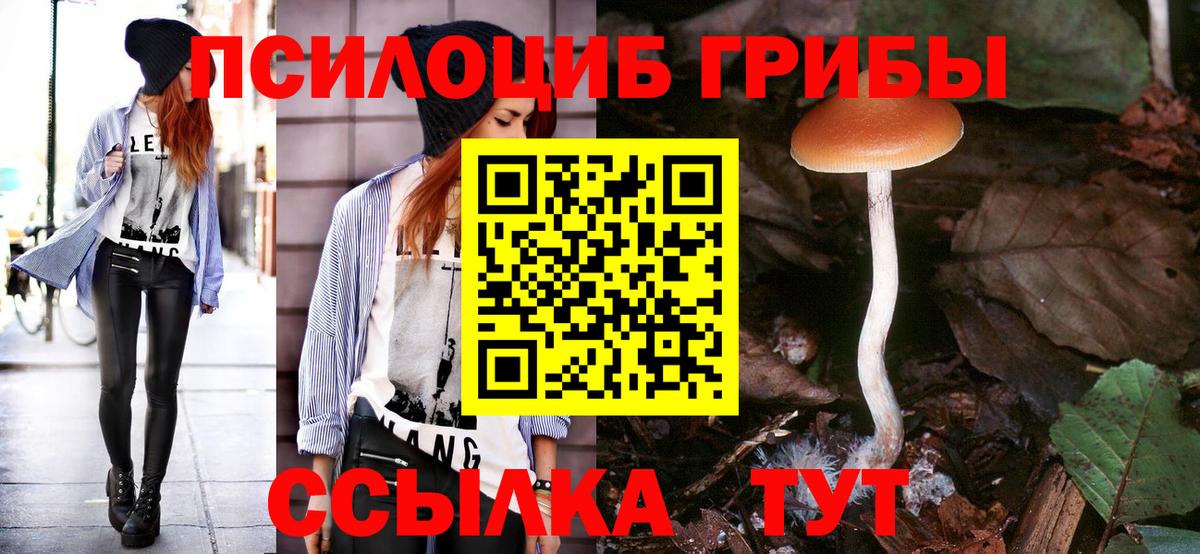 Кулебаки  Псилоцибиновые грибы мицелий  Вход с VPN  Псилоцибиновые грибы Cubensis 